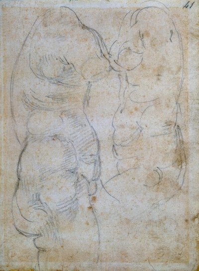 Eski bir kadının gövdesine dayanan iki çalışma by Michelangelo Buonarroti
