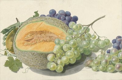 Bir Kavun, Bir Salkım Üzüm, Bir Şeftali ve Fındık by Michiel Van Huysum