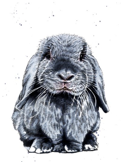 Gri Bir Tavşan Beyaz Üzerine, 2019 by Mike Davis