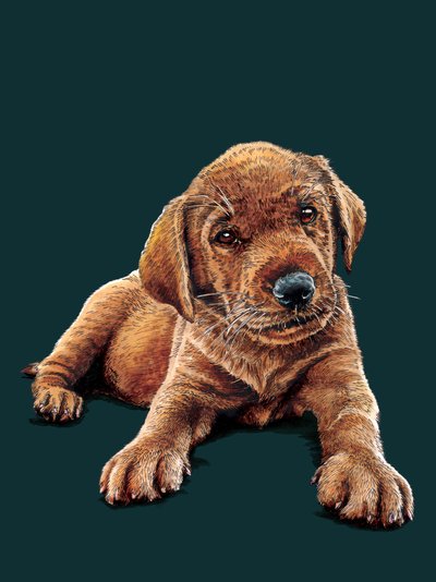 Marge The Puppy, Derin Camgöbeği'nde, 2021 by Mike Davis