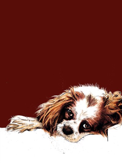 Meg The Spaniel, Red Oxide, 2020 by Mike Davis