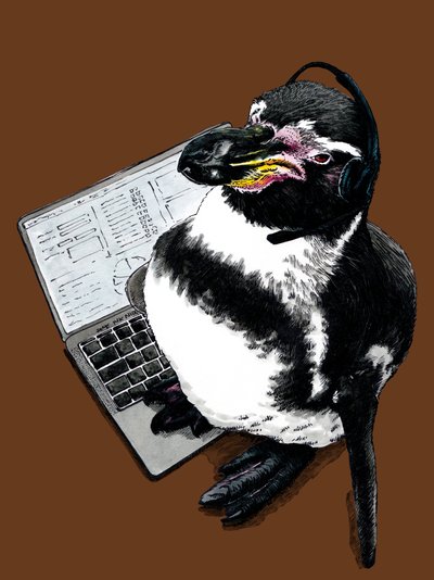 Burnt Orange'da Yeni İş Penguen, 2020 by Mike Davis