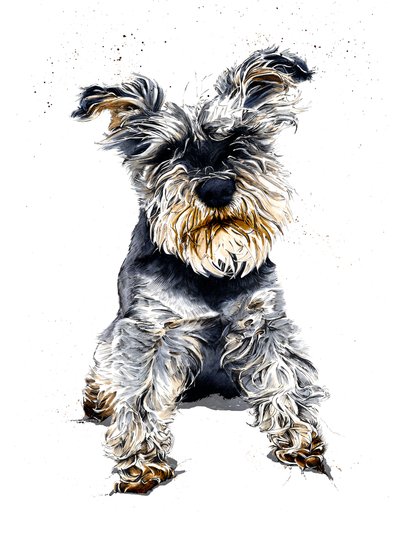 Ollie The Schnauzer Beyaz Üzerine, 2019 by Mike Davis
