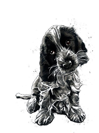 Beyaz üzerine Rosie Cocker Spaniel, 2019 by Mike Davis