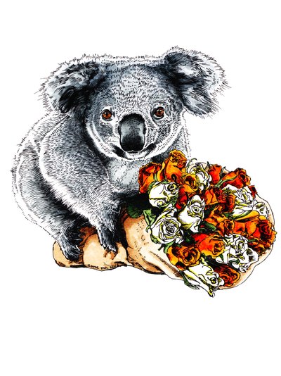 Teşekkürler Koala, Beyaz, 2020 by Mike Davis