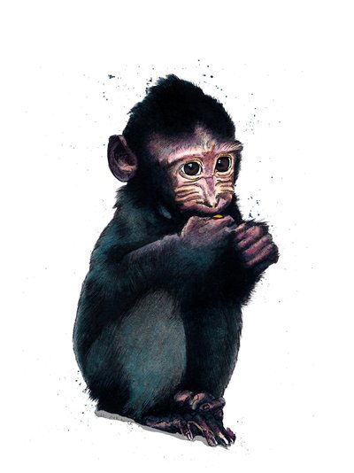 Beyaz Üzerine Bebek Makak, 2020 by Mike Davis