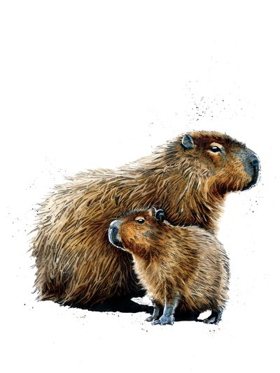 Beyaz Üzerine Kapibaralar, 2019 by Mike Davis
