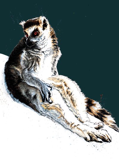 Midnight Blue'daki Tembel Lemur, 2020 by Mike Davis