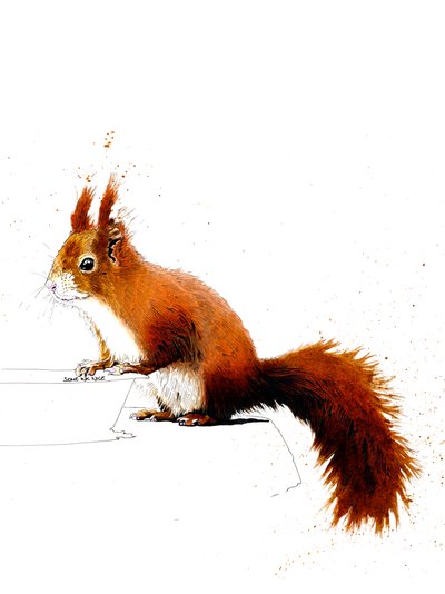 Beyaz Üzerine Kızıl Sincap, 2019 by Mike Davis