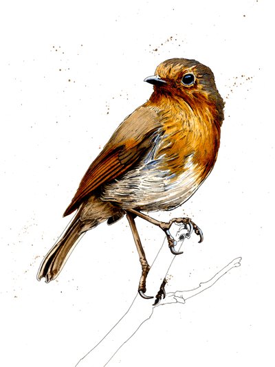 Beyaz Üzerine Robin, 2019 by Mike Davis