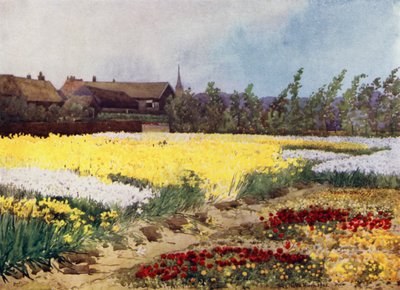 Overveen yakınlarında bir Ampul Çiftliği (renkli taş) by Mima Nixon