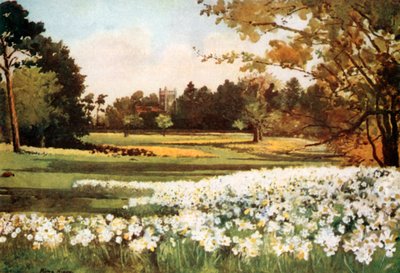 Kilise, Sandringham by Mima Nixon
