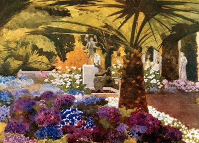 Cinerarias, Achilleion, Korfu by Mima Nixon