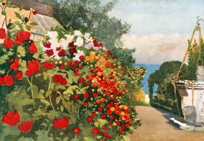 Dahlia Sınırı, Villa Hvidore by Mima Nixon