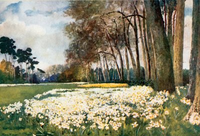 Park, Sandringham by Mima Nixon