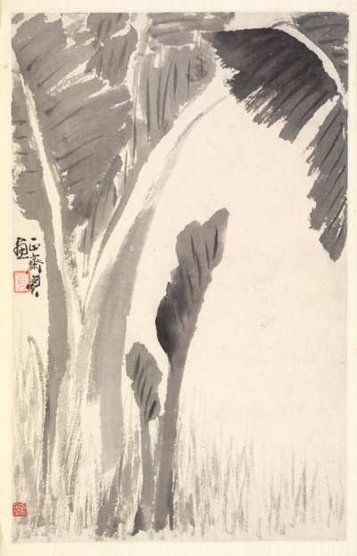 Muz Bitkileri, 1788. by Min Zhen