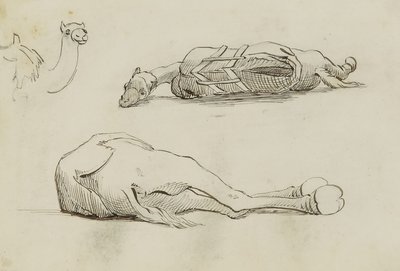  by Miner Kilbourne Kellogg