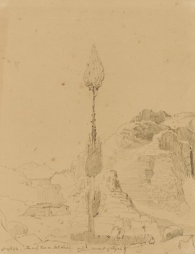 Sina Dağı