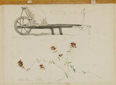  by Miner Kilbourne Kellogg
