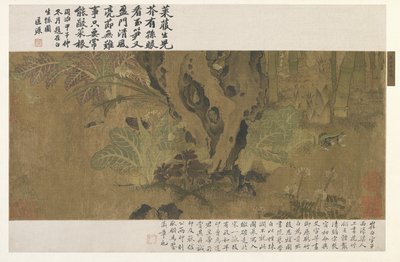 Bambu, kurbağa ve böcekler by Ming Dynasty Chinese School