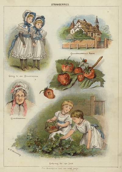 Çilek (kromolitho) by Miss Eliza F. Manning