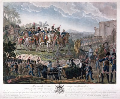 Napolyon, Ulm