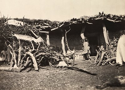 Faşist çağda 