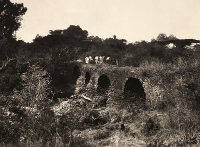 Faşist çağda 