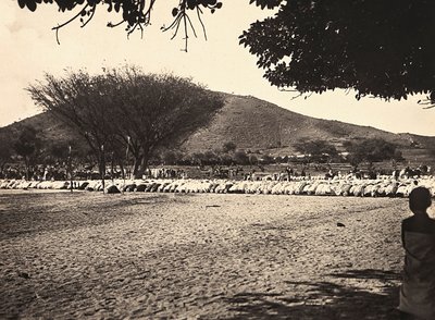 Faşist çağda 