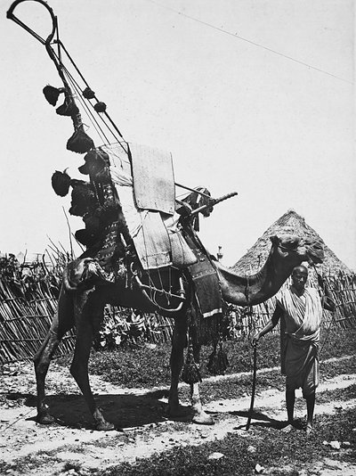 Faşist çağda 