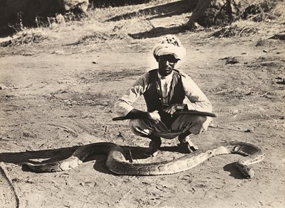Faşist çağda 