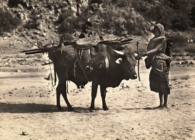 Faşist çağda 