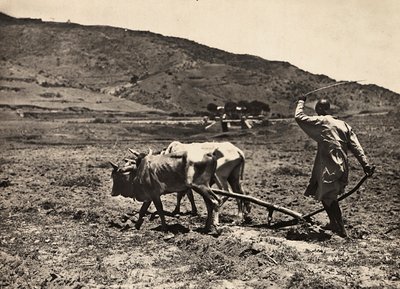 Faşist çağda 
