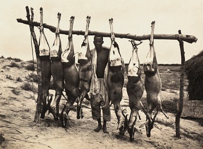 Faşist çağda 