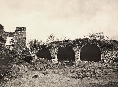 Faşist çağda 