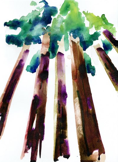 Sequoia, 2021 (Langton, 300 gsm soğuk baskı kağıt üzerine suluboya) by Monica Perez Vega