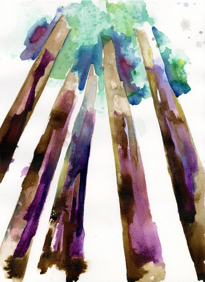 Sequoia 3, 2021 (Langton, 300 gsm soğuk baskı kağıt üzerine suluboya) by Monica Perez Vega