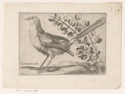 Vogel Codazinzola (nesne üzerindeki başlık) Vogels (dizi adı) by Monogrammist AG