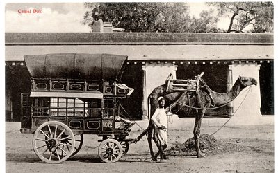 Camel Dak, c.1911-12 (sepya fotoğrafı) by Moorli Dhur and Sons