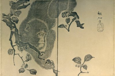 Maymun, 1815, 1924. by Mori Sosen