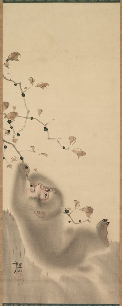 Dalda Asılı Maymun, 1780. by Mori Sosen