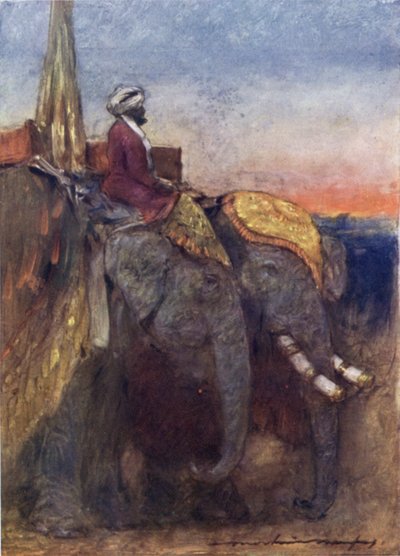 Jaipur Filleri (renkli taş) by Mortimer Ludington Menpes