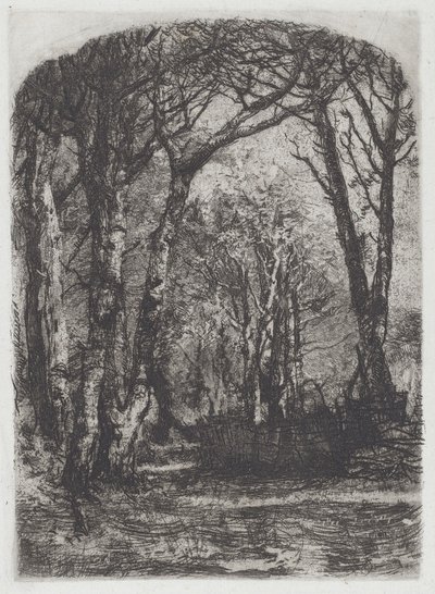 Orman [Bosco] by Mose Bianchi