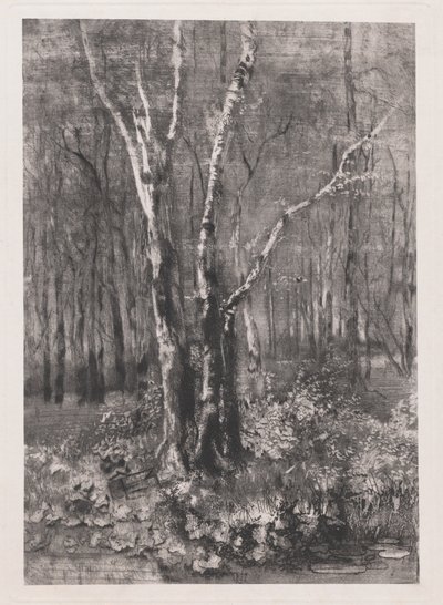 Monza yakınlarındaki Parktaki Ormanlar by Mose Bianchi