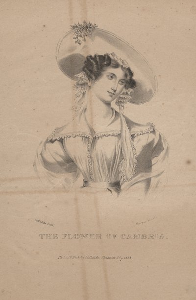Cambria'nın Çiçeği, litho, CG Childs, 1830 by Moses Swett