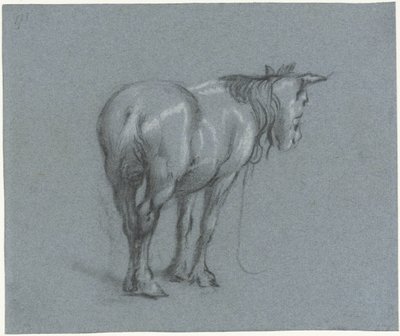 Bir atın arkadan sağa doğru incelenmesi Ayakta duran beygirler (seri başlığı) by Moses Ter Borch