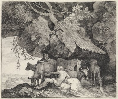 Battus, Merkür