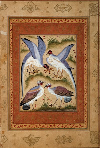 Kuşlar. Moghole okulundan minyatür guaş. 1590-1600. Paris, Guimet Müzesi, Ulusal Asya Sanatları Müzesi by Mughal School