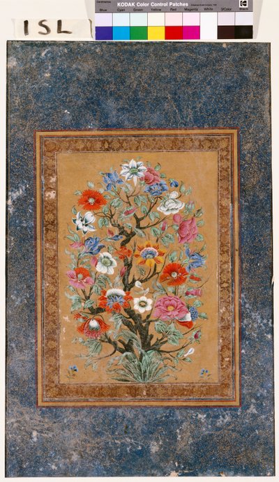 efsanevi bitki by Mughal School
