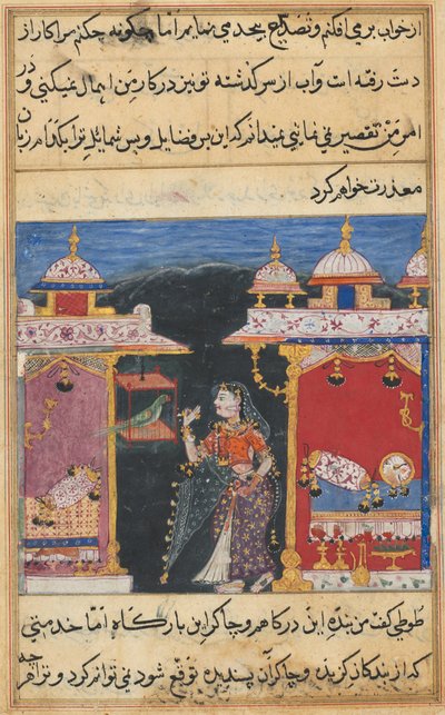 Bir Papağan Masallarından Sayfa by Mughal School